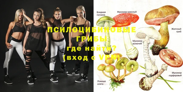 spice Дедовск