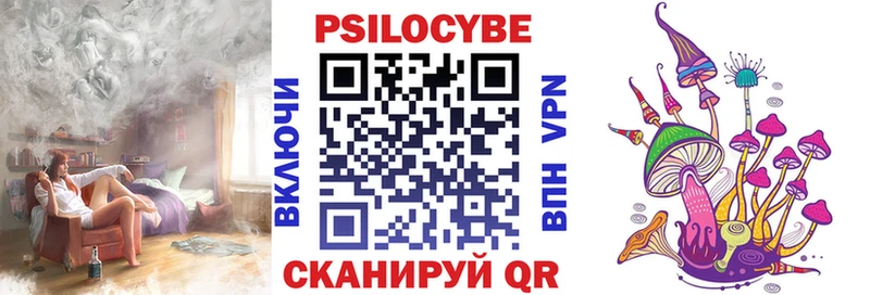 Псилоцибиновые грибы мицелий  купить наркоту  ссылка на мегу зеркало  Курганинск 