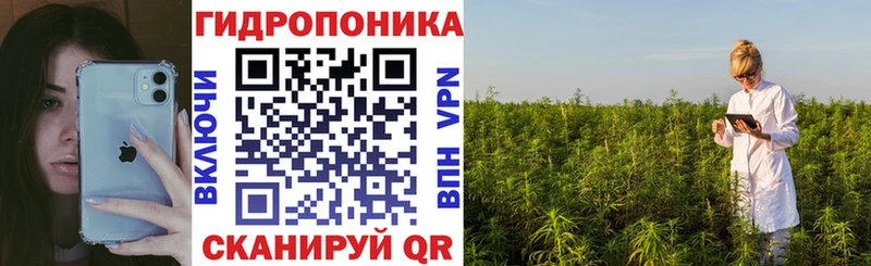 купить наркотик  блэк спрут ссылки  Каннабис марихуана  Курганинск 